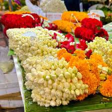 images_original_copy_2_copy_1_copy_1_copy_1_copy_1